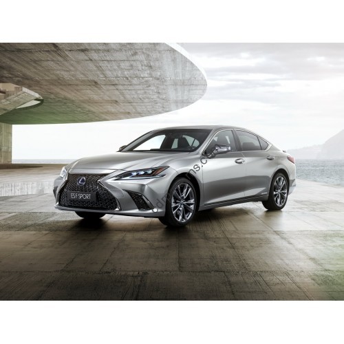 Lexus ES 2018 - the pattern of the interior