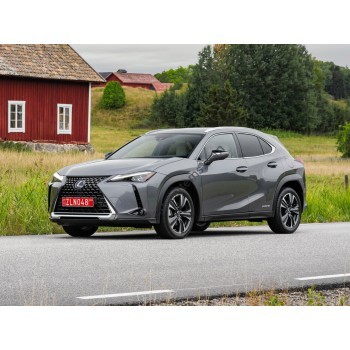 Lexus UX 2019 - the pattern of the interior