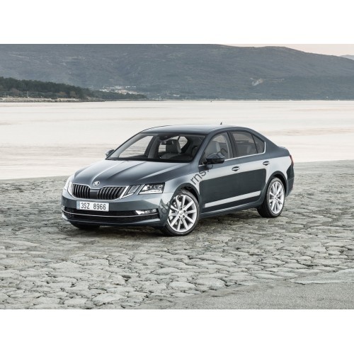 Skoda Octavia 2018 - the pattern of the interior
