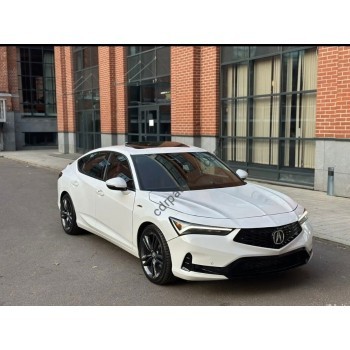 Acura Integra A-SPEC 4D Hatchback (2023 - 2024) (American) full body - pattern for the body