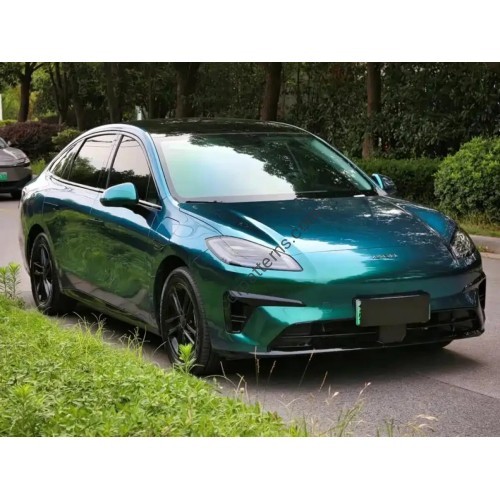 Aion RT 2025 - the pattern of the interior