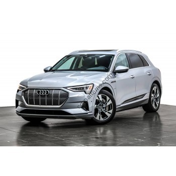 Audi E-tron SUV Premium Plus (2022 - 2024) (American) full body - pattern for the body