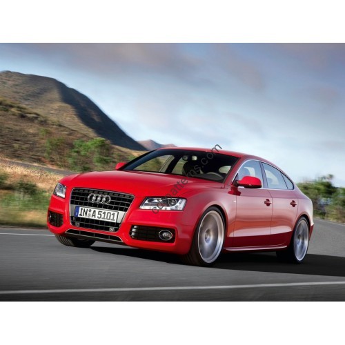 Audi A5 I (2007-2016) - pattern for car EVA mats