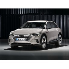 Audi e-tron 1 generation  (10.2018 - p.t.) Front side glass pattern