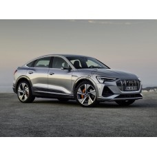 Audi e-tron Sportback 1 generation (11.2019 - p.t.) - pattern on the windshield