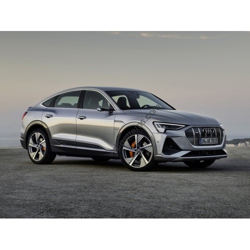 Audi e-tron Sportback 1 generation (11.2019 - p.t.) Front side glass pattern