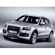 Audi Q5 1 generation, 8R 2008-2016 - pattern on the windshield