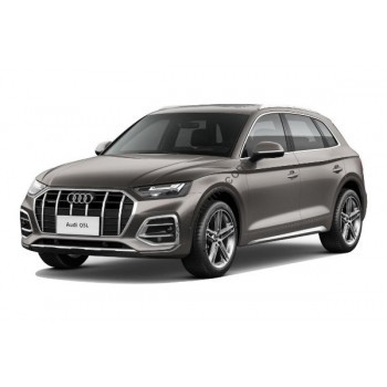 Audi Q5 L 2021 - Multimedia screen template