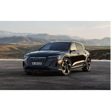 Audi Q8 e-tron 2024 - rear and front bumper - pattern for the body