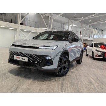 BAIC X55 2022 - the pattern of the interior