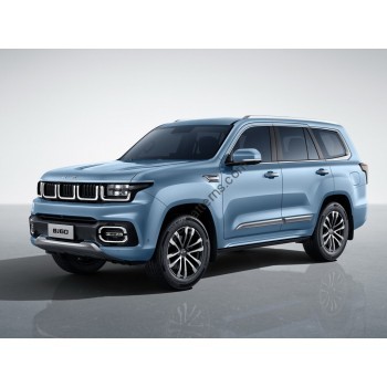 BeiJing Bj60 (2022 - 2025) (Chinese - European) full body - pattern for the body