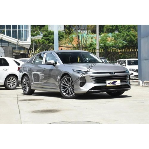 Besturn B70 Dragon (2024 - 2025) (Chinese - European) full body - pattern for the body