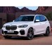 BMW X5 xLine 2020 - pattern for the body