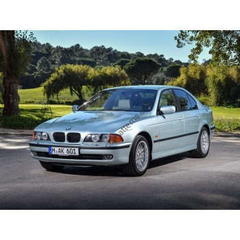 BMW 5 E39 1995 - 2003 Front side glass pattern 