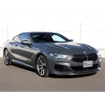 BMW 8 Series coupe 2020 full body - pattern for the body