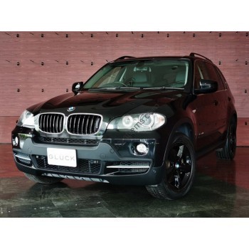 BMW X5 M (E72) 2009 - pattern for the body