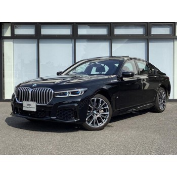 BMW 7 Series (2019) Luxury - pattern for the body