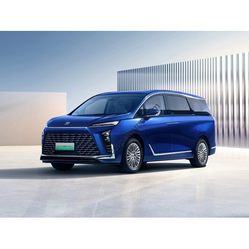 Buick GL8 Hybird 2024 - the pattern of the interior