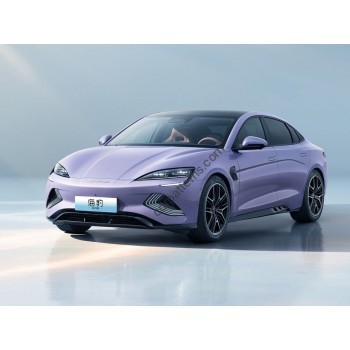 BYD Seal EV (2022 - 2025) (Chinese - European) full body - pattern for the body