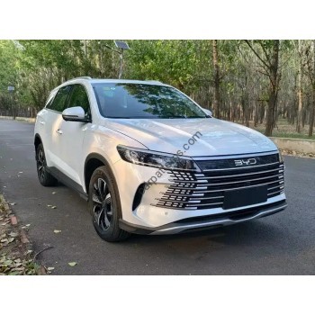 BYD Sealion 5 DM-I Exclusives 2025 (Chinese - European) full body - pattern for the body