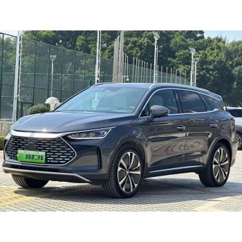 BYD Tang DM-P DM-I (2022 - 2024) (Chinese - European) full body - pattern for the body