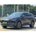 BYD Tang DM-P DM-I (2022 - 2024) (Chinese - European) full body - pattern for the body BYD Tang DM-P DM-I (2022 - 2024) (Chinese - European) full body - pattern for the body