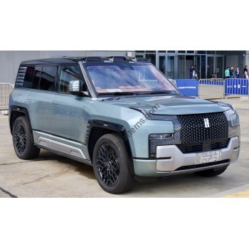 BYD U8 Luxury (2023 - 2025) (Chinese) (European) full body - pattern for the body