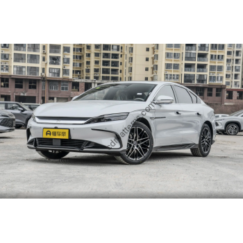 BYD HAN EV Intelligent Driving 2025 (Chinese - European) full body - pattern for the body
