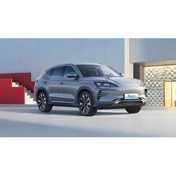 BYD Song Plus EV 2023 full body - pattern for the body