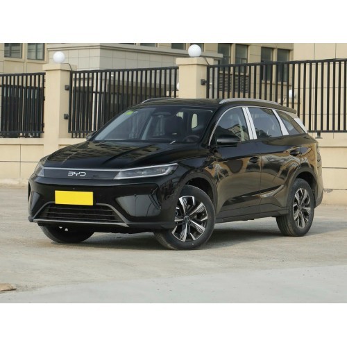 BYD Sea Lion 05 2025 - the pattern of the interior