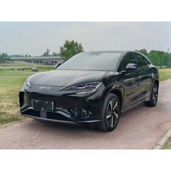 BYD Sealion 7 2024 full body - pattern for the body