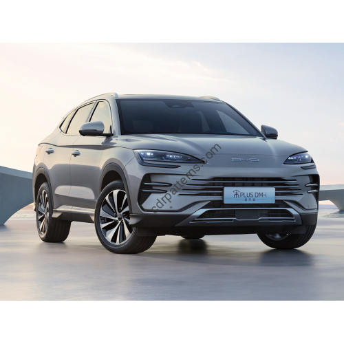 BYD SONG CHAMPION 2024 - the pattern of the interior