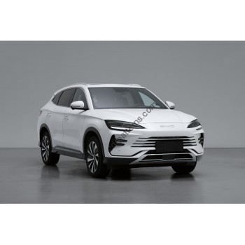 BYD Song Plus DM-I (2023 - 2025) (Chinese - European) full body - pattern for the body