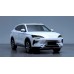 BYD Song Plus DMI 2023 full body - pattern for the body
