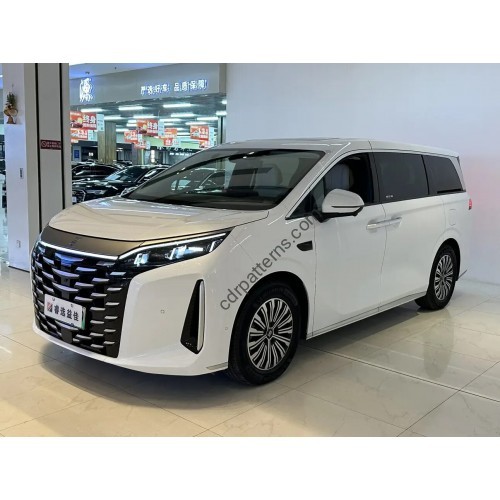 BYD Summer 2025 - the pattern of the interior