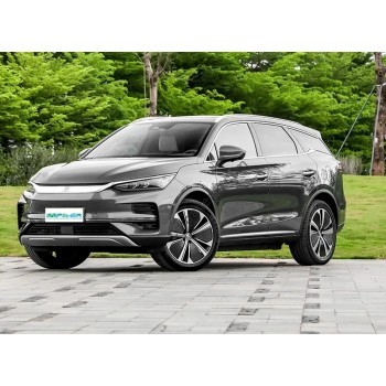 BYD Tang EV (2022 - 2024) (Chinese - European) full body - pattern for the body