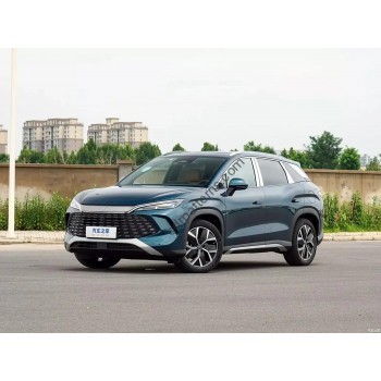 BYD Song L DM-i 2024 full body - pattern for the body