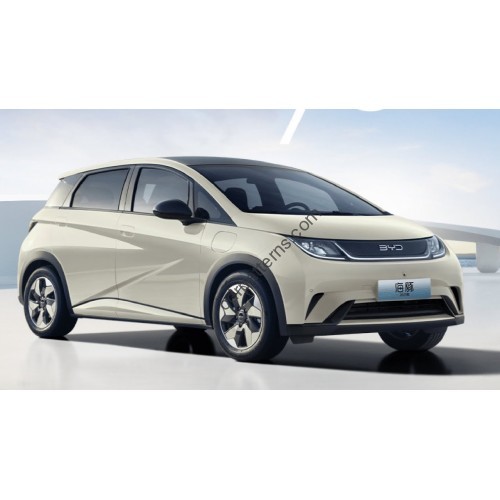 BYD Dolphin Intelligent Driving 2025 (Chinese - European) full body - pattern for the body