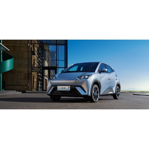 BYD Seagull EV (2023 - 2025) (Chinese - European) full body - pattern for the body