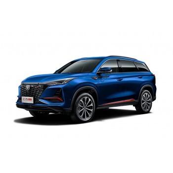 Changan CS75 Plus 2021-2025 - Pattern for rear windows