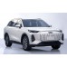 Chery T9 (2024 - 2025) (Chinese - European) full body - pattern for the body