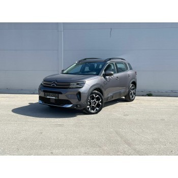 Citroen C5 Aircross 1 generation (04.2017 - 2025) Front side glass pattern
