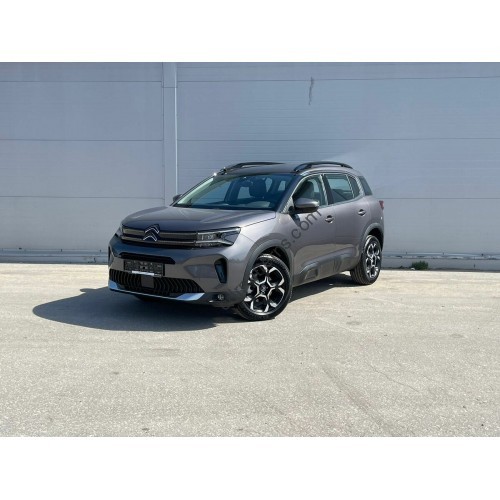 Citroen C5 Aircross 1 generation (04.2017 - 2025) Front side glass pattern