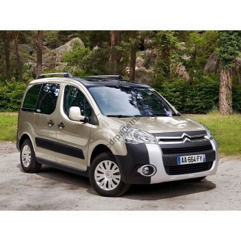 Citroen Berlingo - 2 generation, B9 (01.2008 - 2022) - Pattern for rear windows