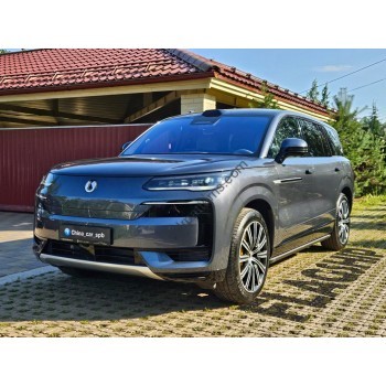 Denza N9 2025 - the pattern of the interior