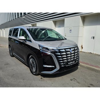 Denza D9 2024 - the pattern of the interior