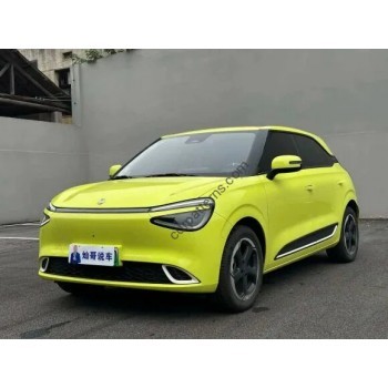 Dongfeng Nammi 01 box full body 2024 - pattern for the body