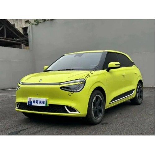 Dongfeng Nammi 01 box full body 2024 - pattern for the body