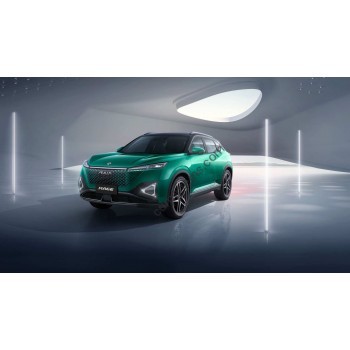 Dongfeng Mage 2025 - Pattern for rear windows