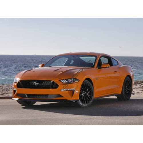Ford Mustang 6 2014-2020 - pattern on the windshield
